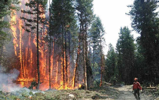 אירועי El Niño העתידיים עלולים להצית סיכון גבוה יותר בשריפה