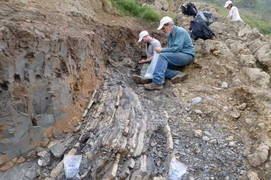 How We Know Climate Change Was Behind Earth’s Largest Extinction