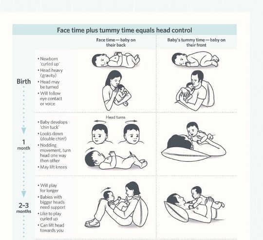 嬰兒需要更多的時間來加強脖子和防止平頭