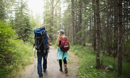 אם מדיטציה אינה עניין שלך, נסה לטייל ביער