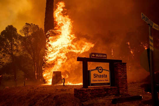 Une tempête parfaite de facteurs rend les feux de forêt plus grands et plus coûteux à contrôler