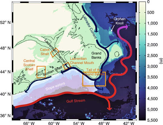 ¿Por qué el Golfo de San Lorenzo está perdiendo oxígeno?