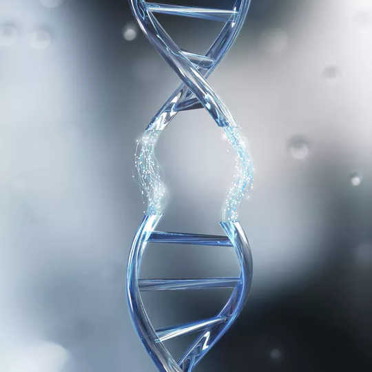 在16p11.2中，染色体16上的部分DNA缺失或重复。 （罕见的遗传变化与自闭症和其他精神疾病有关）