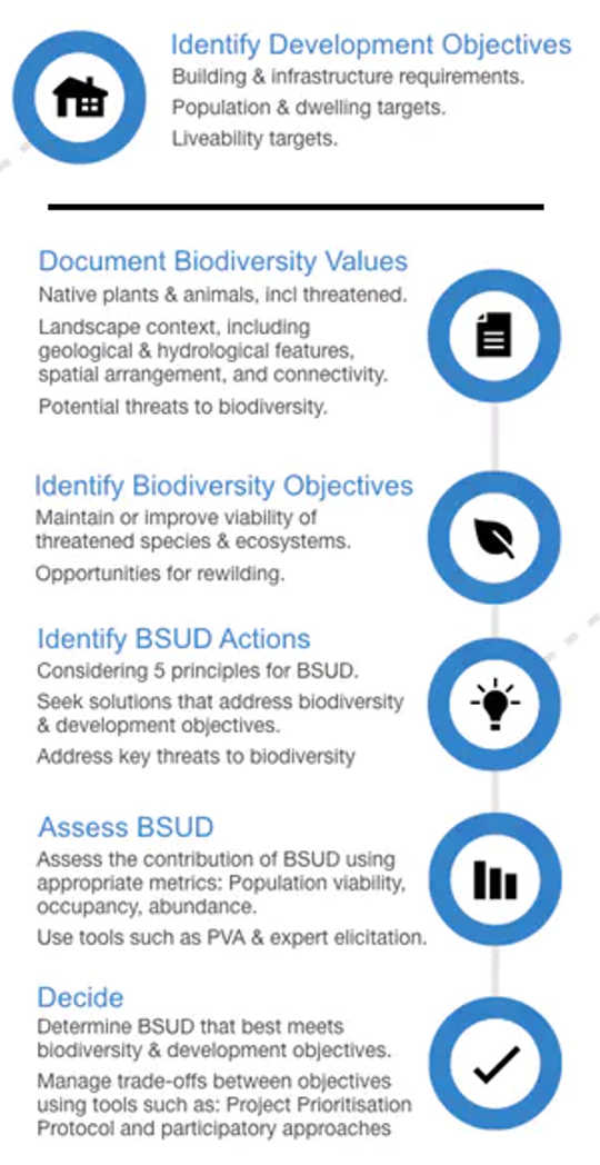 stappen in de biodiversiteitsgevoelige stadsontwerpbenadering