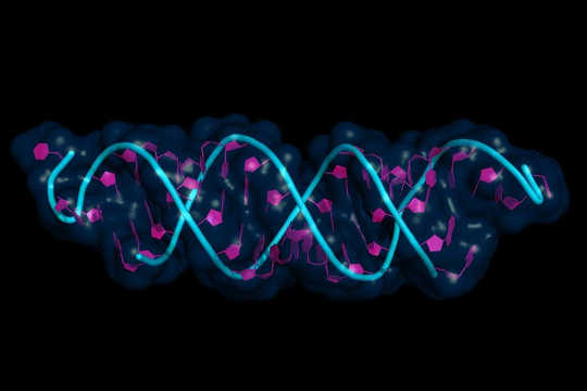 Watter effek het epigenetika op ons sielkunde?