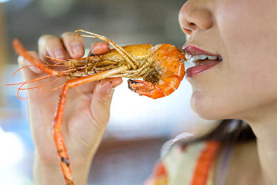 Shellfish Tops Die Liste der US-amerikanischen Nahrungsmittelallergien