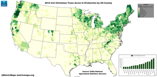 Почему рождественские елки труднее, чем когда-либо