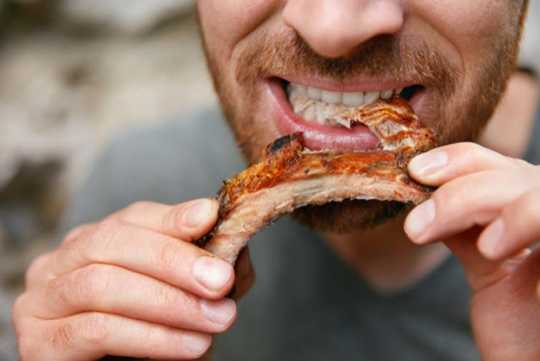 건강을 위해 고기를 피해야합니까?