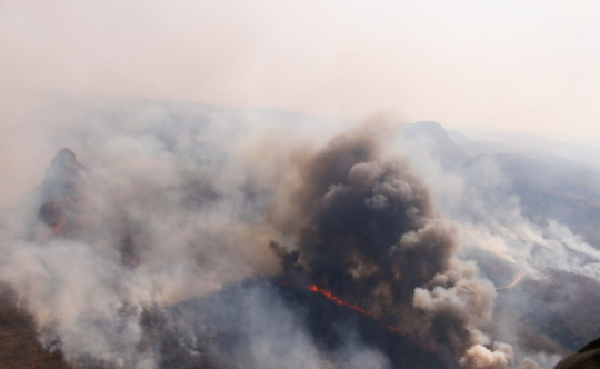 Bukan Hanya Amazon Rainforest Brazil Itu Dibakar - Kebakaran Bolivian Merosakkan Rakyat Dan Hidupan Liar
