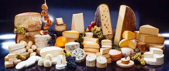 チーズ、ワイン、ビールについては菌類に感謝