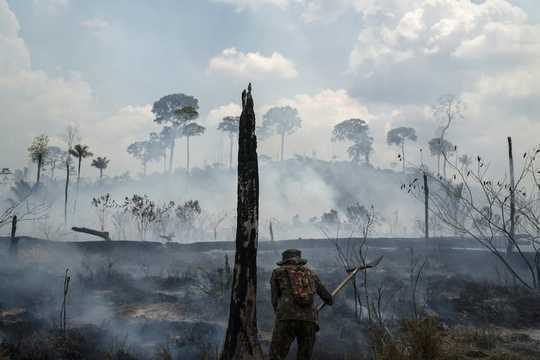 L'épuisement des forêts tropicales signifie la perte de médicaments à découvrir dans leurs plantes