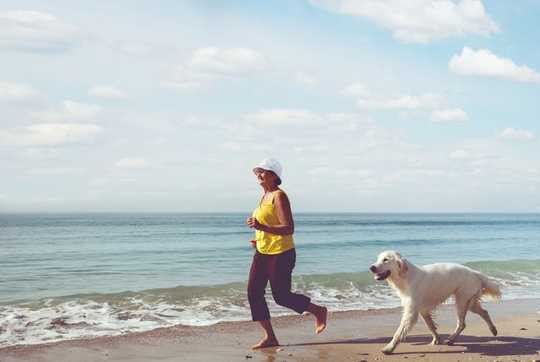 Aging With Pets Isn't Just A Sentimental Concern, But A Matter Of Health And Wellness