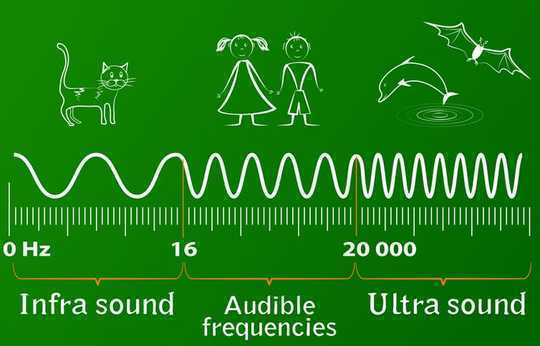Det nya fältet för sonogenetik använder ljudvågor för att kontrollera beteendet hos hjärnceller