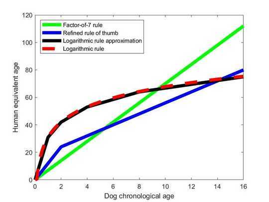 Zijn hondenjaren echt? Een verklaring voor het berekenen van de leeftijd van honden