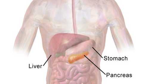Проблемы и достижения лечения рака поджелудочной железы