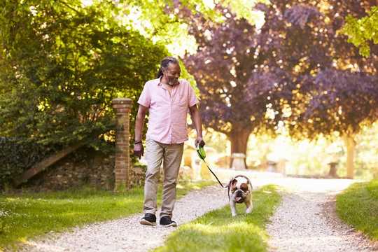 Vieillir avec des animaux domestiques n'est pas seulement une préoccupation sentimentale, mais une question de santé et de bien-être