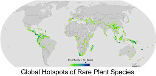 Klimawandel bedroht eine unheimliche Anzahl von Pflanzenarten