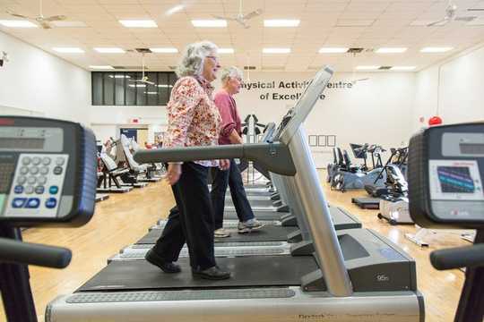 Высокоинтенсивные упражнения улучшают память и избавляют от деменции