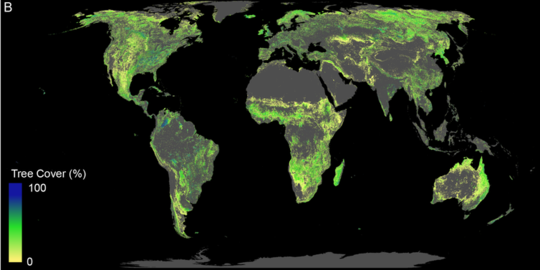 Vil reforesting av et område på størrelse med USA hjelpe til med å avverge sammenbrudd av klimaet?