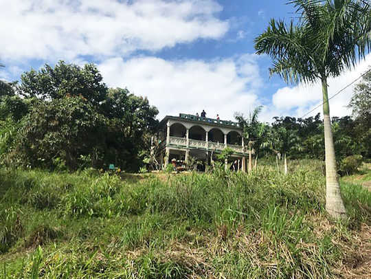 Temui Petani yang Mereklamasi Sejarah Pertanian Puerto Riko