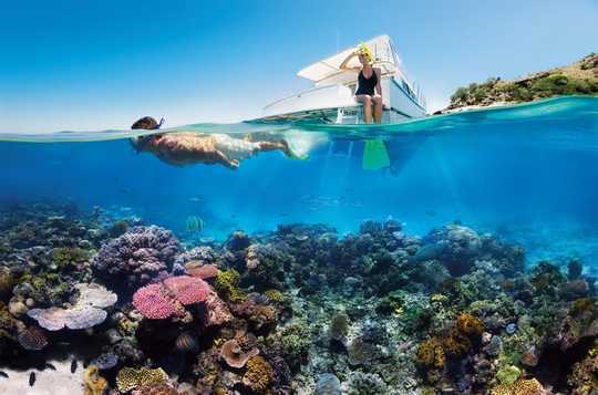 Zwei Riffforscher teilen ihre Klimakummer