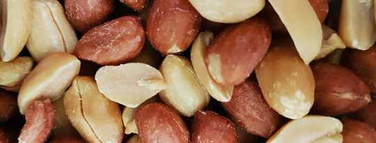 Miksi maapähkinät laukaisevat niin voimakkaita allergisia reaktioita