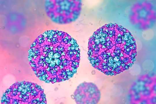 Como usamos um vírus do resfriado comum para derrotar o câncer de bexiga