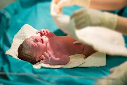Die Gebärmutter ist nicht steril - gesunde Babys werden mit Bakterien und Pilzen im Darm geboren