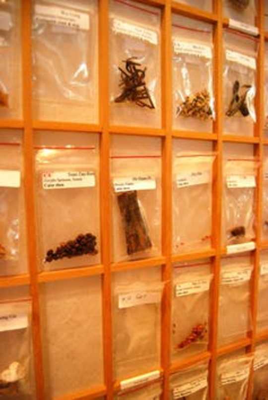 Does Traditional Chinese Medicine Have A Place In The Health System?