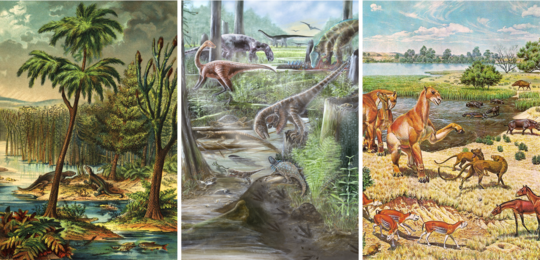 Разнообразие наземных животных оставалось стабильным в течение миллионов лет, прежде чем люди появились