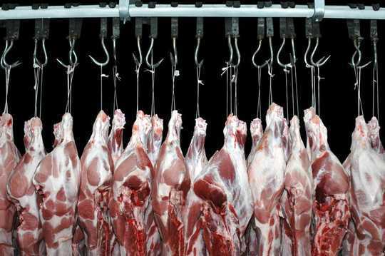 5 Ways la viande sur votre assiette tue la planète