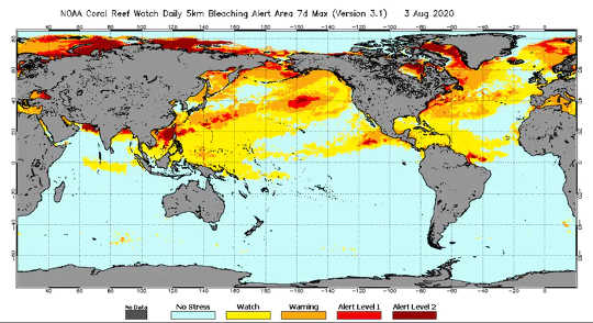 Merenpinnan lämpötilat 3. elokuuta 2020 satelliiteista mitattuna.