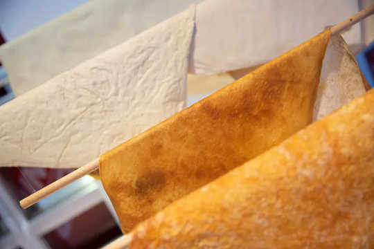 MOGU är ett företag som producerar material och produkter från svampmycel. (vegansk läder tillverkat av svamp kan forma framtiden för ett hållbart mode)