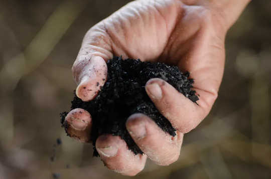 मिट्टी में जोड़ा जाता है, बायोचार कार्बन स्टोर बढ़ाता है। (वातावरण से सीओ 2 चूसने के सात तरीके)