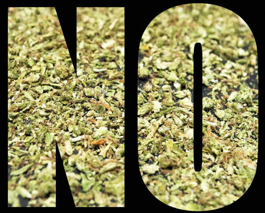 dez contras da legalização da cannabis
