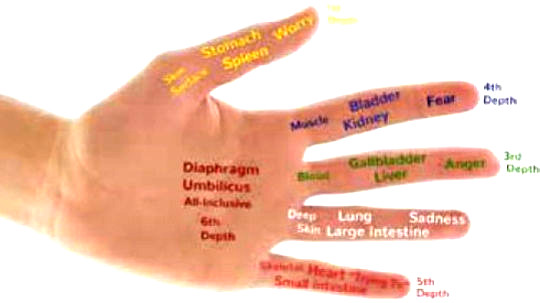 Die Hand ist ein mächtiges Heilmittel und ein multidirektionaler Kanal für die Energie von Jin Shin. (einfache Selbstheilung mit der Kunst des Jin Shin)