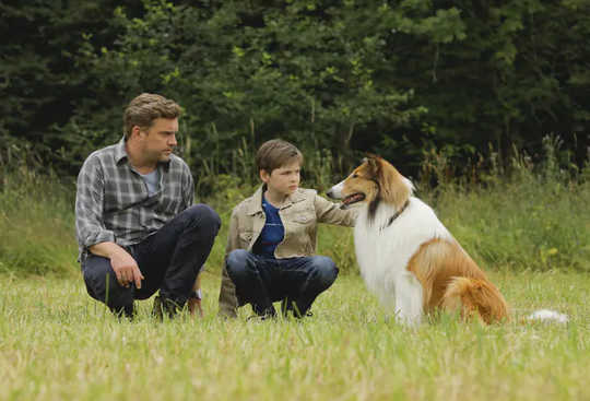 Dogs really are the best people. (lassie come home again remake of a classic is a reminder of our bond with pets)