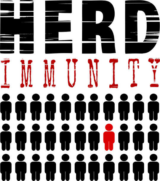 Herd immunity results when the majority of the population gains immunity to the virus either through vaccination or infection. When this happens, vulnerable people who cannot get vaccinated are protected by the ‘herd.’