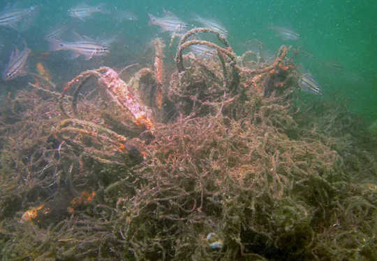 Ghost gear settled on the seafloor. (how to get abandoned lost and discarded ghost fishing gear out of the ocean)