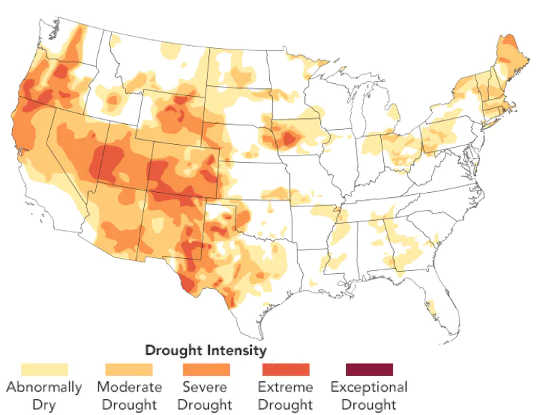 Condizioni di siccità nei 48 stati inferiori, l'11 agosto 2020.