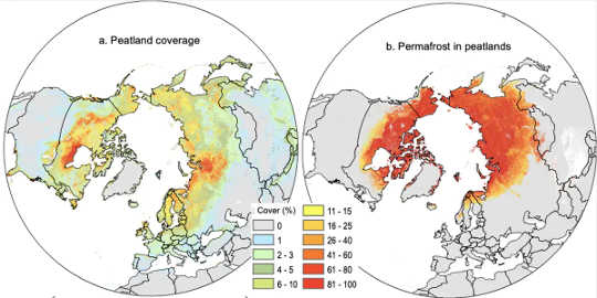 Mapas que muestran la ubicación de las turberas del norte y el permafrost.