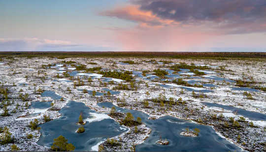 Tulipanga Ramani ya Peatlands Waliohifadhiwa Ulimwenguni na Kile Tulichogundua Kilikuwa Kinahofisha Sana