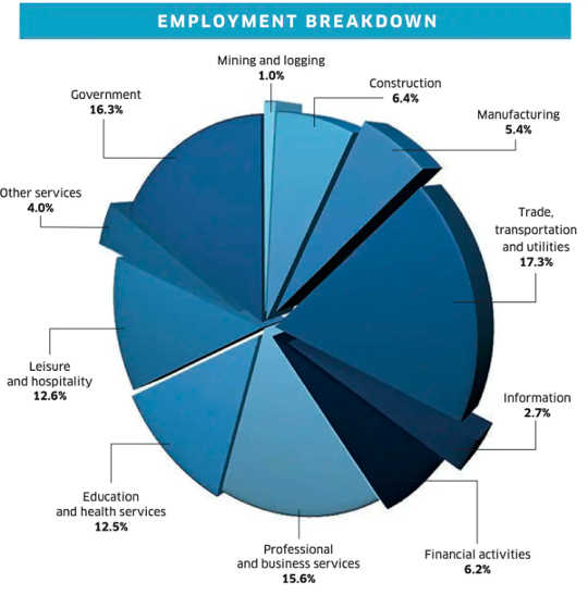 confusing pie chart of employment data