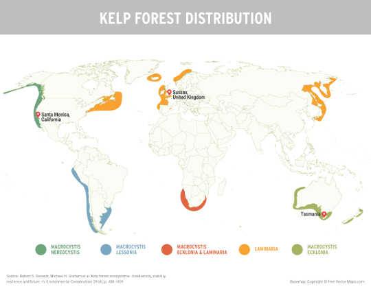 kelp distribution 7 12