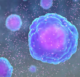 여러 면역 세포에서 방출되는 작은 단백질 인 사이토 카인
