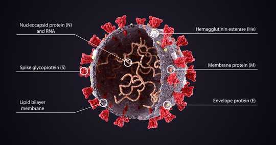 El coronavirus podría desencadenar diabetes en personas previamente sanas