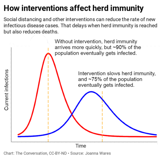 Warum die Herdenimmunität unser COVID-19-Problem nicht löst