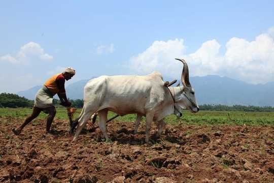 Will Three Billion People Really Live In Temperatures As Hot As The Sahara By 2070?