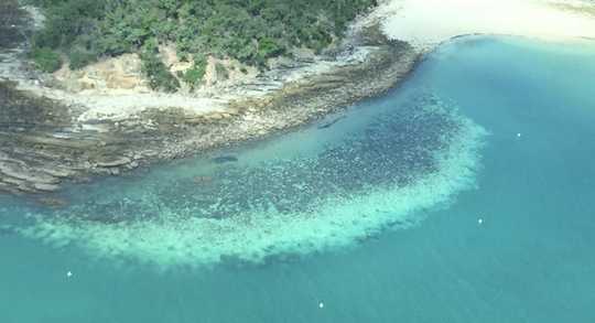 We hebben net twee weken doorgebracht met het onderzoeken van het Great Barrier Reef. Wat we zagen was een totale tragedie
