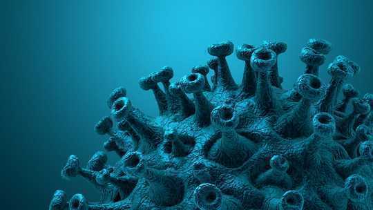 Lima Cara Kecerdasan Kolektif Dapat Membantu Mengalahkan Coronavirus Di Negara Berkembang